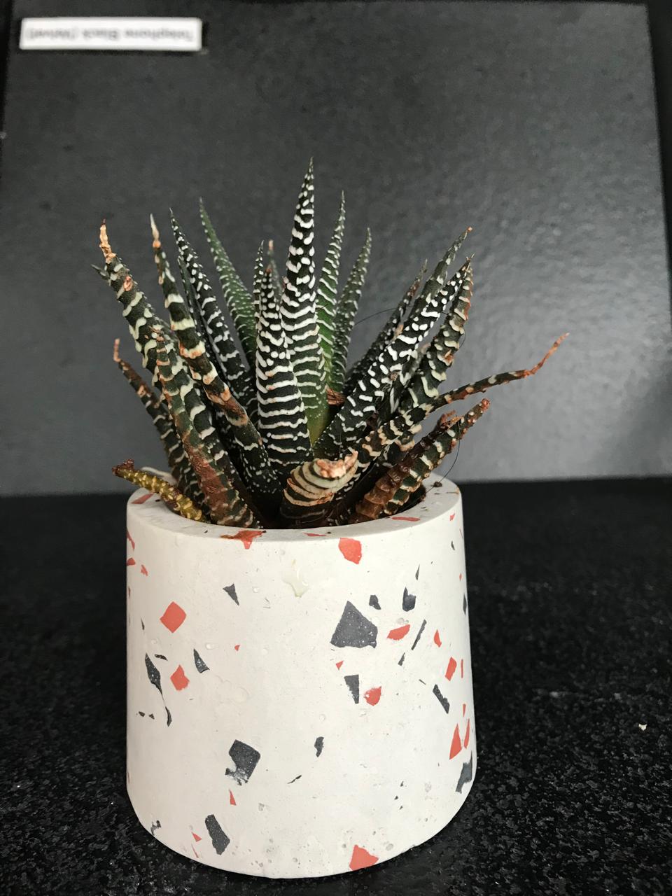Terrazzo Concrete Candle Jar – Set of 2