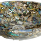 Ecm - Green Abalone - Mother Of Pearl Basin