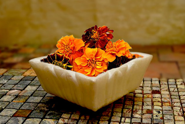 Marble Flower Floaters  Urli