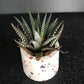 Terrazzo Concrete Candle Jar – Set of 2