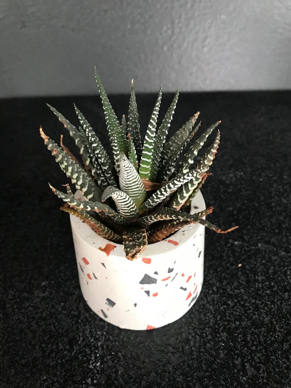 Terrazzo Concrete Candle Jar – Set of 2
