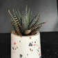Terrazzo Concrete Candle Jar – Set of 2