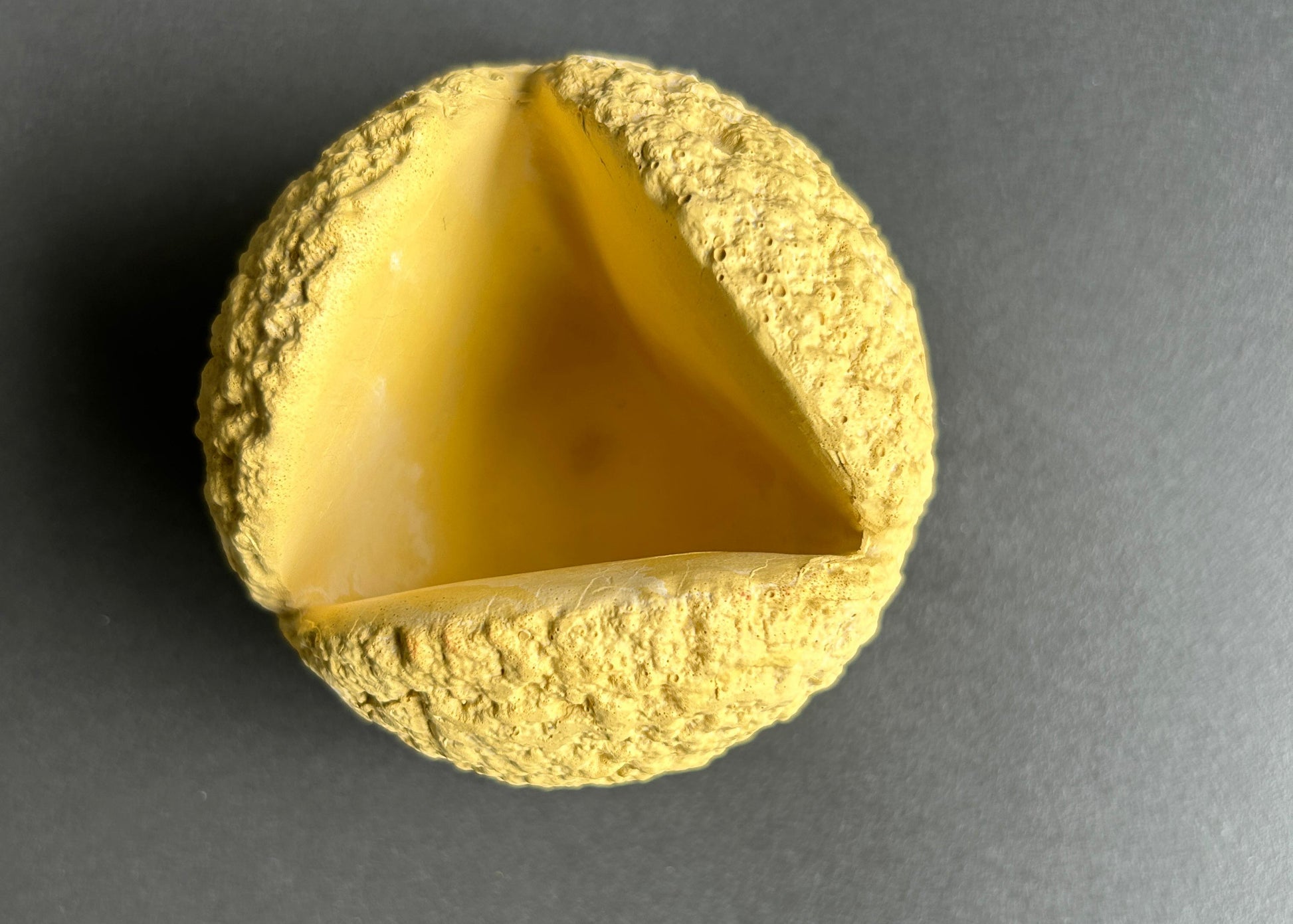 Concrete Yellow Gold-colored Candle Holder