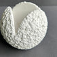 Concrete Coral  Candle Holder