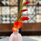 Concrete Vase