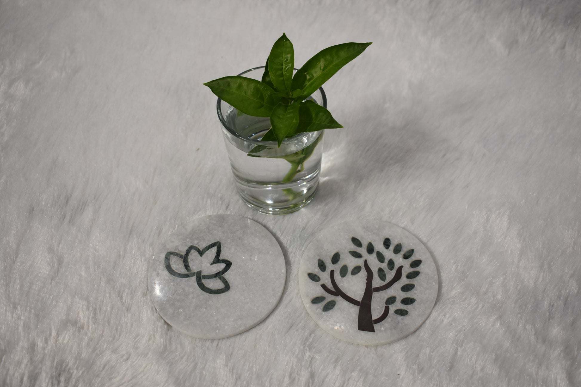 Marble Coaster