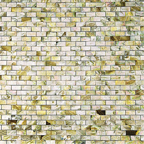 Mother of Pearl Mosaic
