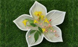 Star Bowl - Flower Floaters - Urlis